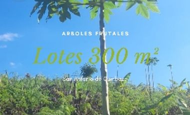 Lotes 600 m² para casa de Campo  a 20 min de Tpp