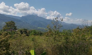 Lotes 600 m² para casa de Campo  a 20 min de Tpp