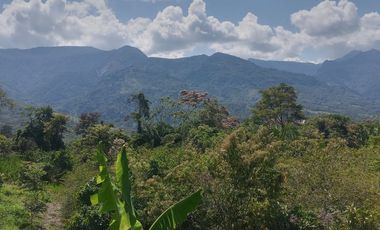 Lotes 600 m² para casa de Campo  a 20 min de Tpp