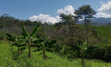 Lotes 600 m² para casa de Campo  a 20 min de Tpp