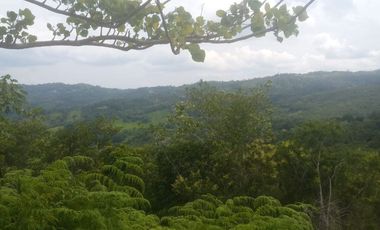 Lotes 600 m² para casa de Campo  a 20 min de Tpp