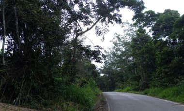 Lotes 600 m² para casa de Campo  a 20 min de Tpp