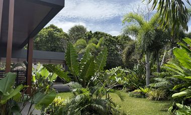 Contemporary House With Tropical Garden Landscape