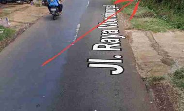 tanah datar rata ploting kuning