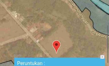 tanah datar rata ploting kuning