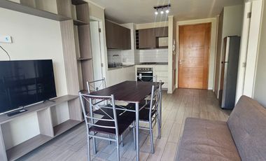 Vende departamento amoblado estilo mariposa prox uss en Concepción