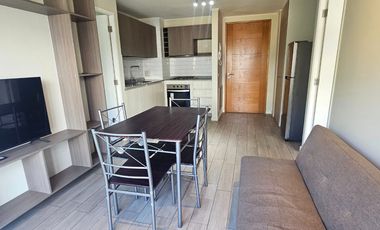 Vende departamento amoblado estilo mariposa prox uss en Concepción