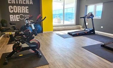 Vende departamento amoblado estilo mariposa prox uss en Concepción