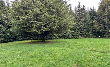 Arriendo casa 3 dormitorios y 2 baños a 14 kms de Osorno por Ruta 215