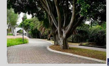 Lotes residenciales en venta zona Zerezotla