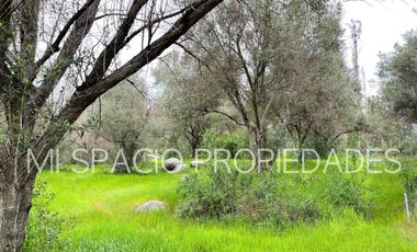 San Juan - Camino Leyda – Llolleo