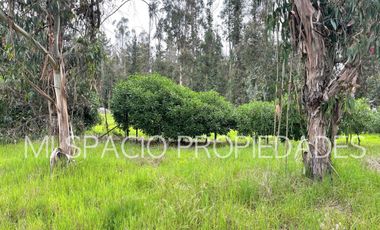 San Juan - Camino Leyda – Llolleo