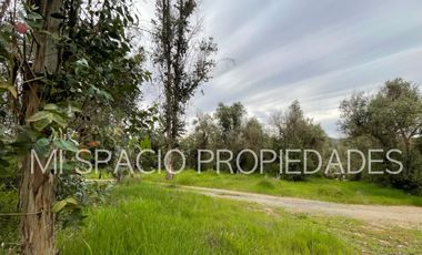 San Juan - Camino Leyda – Llolleo