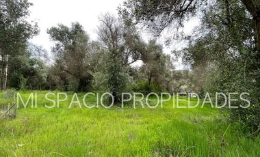 San Juan - Camino Leyda – Llolleo