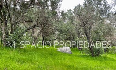 San Juan - Camino Leyda – Llolleo