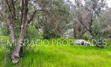 San Juan - Camino Leyda – Llolleo