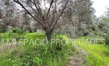 San Juan - Camino Leyda – Llolleo