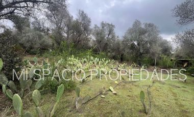 San Juan - Camino Leyda – Llolleo