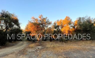 San Juan - Camino Leyda – Llolleo