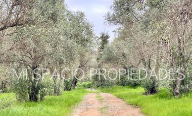 San Juan - Camino Leyda – Llolleo