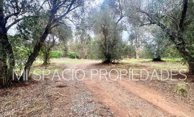 San Juan - Camino Leyda – Llolleo