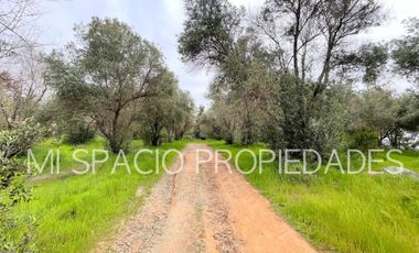 San Juan - Camino Leyda – Llolleo