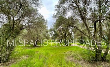 San Juan - Camino Leyda – Llolleo