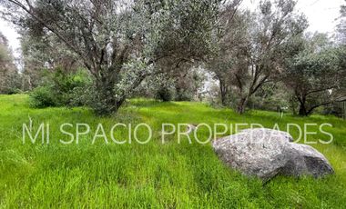 San Juan - Camino Leyda – Llolleo