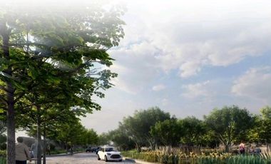 TERRENOS EN PREVENTA LA CAMPIÑA FRANCESA