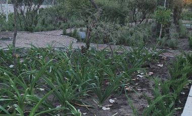 TERRENOS EN PREVENTA LA CAMPIÑA FRANCESA