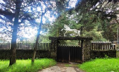 El Cortijo de Mendoza en venta, una joya del sur de la CDMX