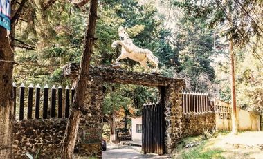 El Cortijo de Mendoza en venta, una joya del sur de la CDMX