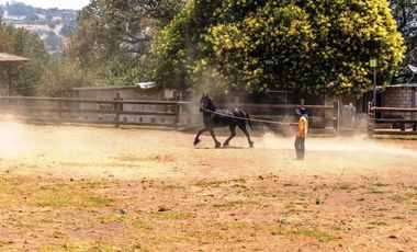 El Cortijo de Mendoza en venta, una joya del sur de la CDMX