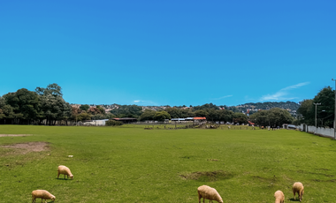 El Cortijo de Mendoza en venta, una joya del sur de la CDMX