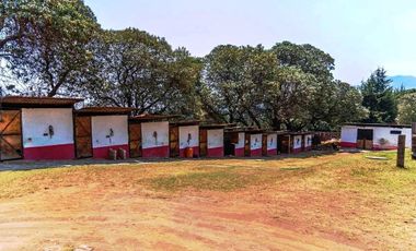 El Cortijo de Mendoza en venta, una joya del sur de la CDMX