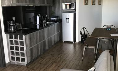 DEPARTAMENTO 1 RECAMARA AMUEBLADO EN ADAMANT 2