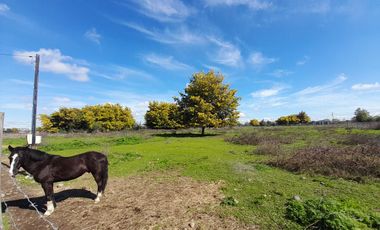 Linda Parcela Rinconada de Cato km 9