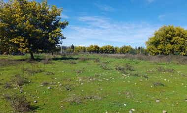 Linda Parcela Rinconada de Cato km 9