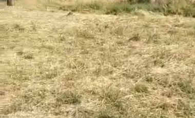 Exelente Terreno En Mascuala Jalisco