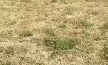 Exelente Terreno En Mascuala Jalisco