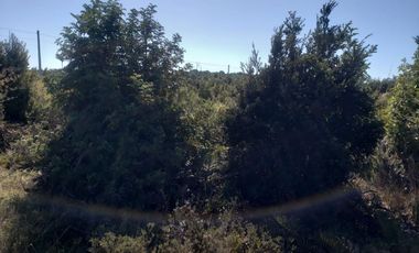 Vende parcela en Condominio Altos de Neo alerce, Puerto Montt