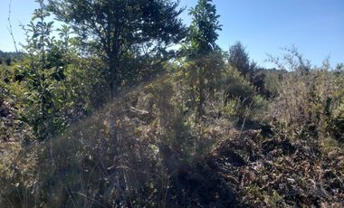 Vende parcela en Condominio Altos de Neo alerce, Puerto Montt