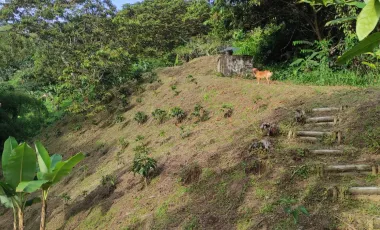 Finca Cafetera-Turística Santa Rosa De Cabal - Risaralda - Eje Cafetero