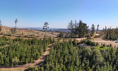 Parcela Forestal Agrícola 5.000m2, Panilonco Paredones