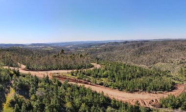 Parcela Forestal Agrícola 5.000m2, Panilonco Paredones