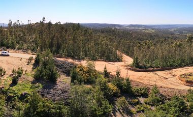 Parcela Forestal Agrícola 5.000m2, Panilonco Paredones