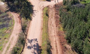 Parcela Forestal Agrícola 5.000m2, Panilonco Paredones
