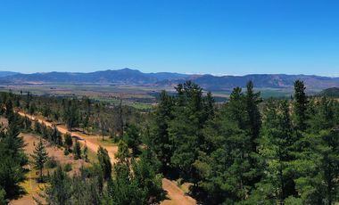Parcela Forestal Agrícola 5.000m2, Panilonco Paredones