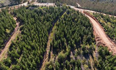 Parcela Forestal Agrícola 5.000m2, Panilonco Paredones
