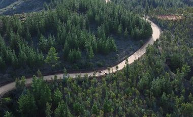 Parcela Forestal Agrícola 5.000m2, Panilonco Paredones